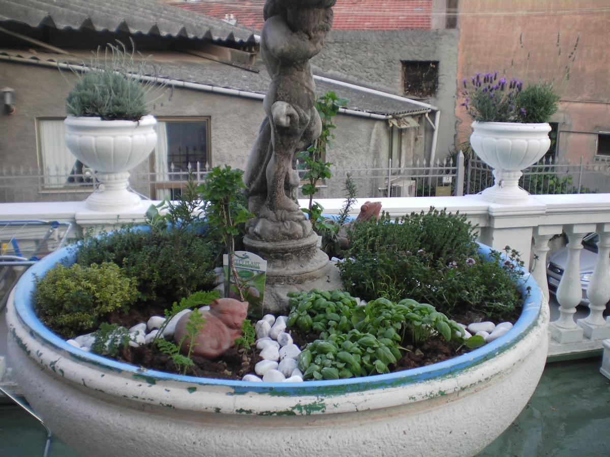 Hotel Piemontese Imperia Exterior photo