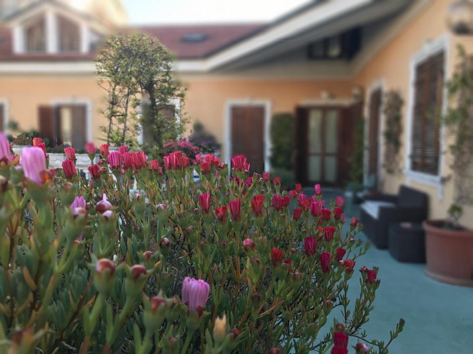 Hotel Piemontese Imperia Exterior photo